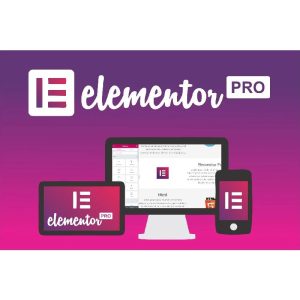 Tải plugin Elementor pro miễn phí, kích hoạt sẵn cho website wordpress